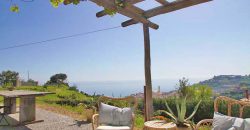 Here comes the house for you who dream of your own vineyard with sea views!