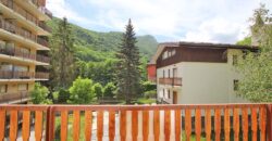 For sale an apartment in the ski resort Limonetto