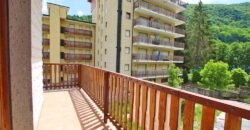 For sale an apartment in the ski resort Limonetto