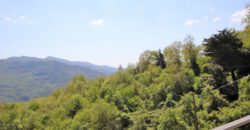 Colle San Bartolomeo!
