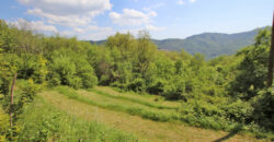 Colle San Bartolomeo!