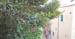 La Pigna