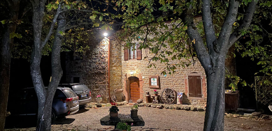Horse farm in Northern Italy