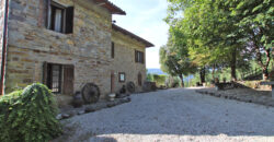 Horse farm in Northern Italy