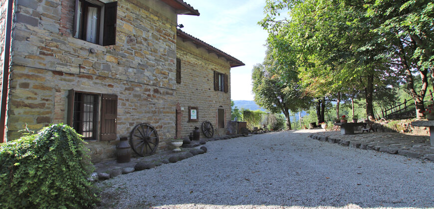 Horse farm in Northern Italy