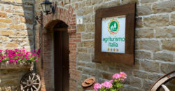 Horse farm in Northern Italy