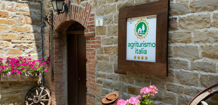 Horse farm in Northern Italy