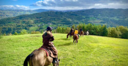 Horse farm in Northern Italy