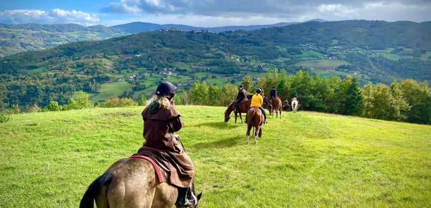 Horse farm in Northern Italy