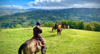 Horse farm in Northern Italy