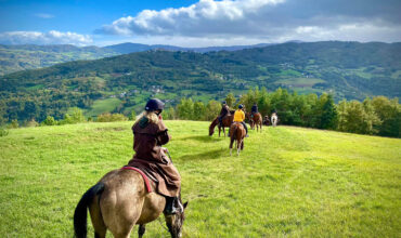 Horse farm in Northern Italy