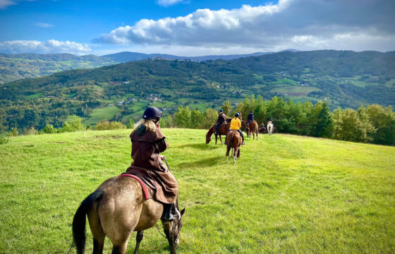 Horse farm in Northern Italy