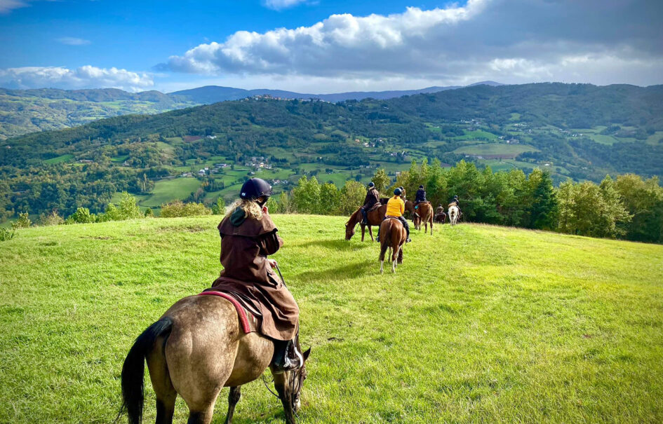 Horse farm in Northern Italy