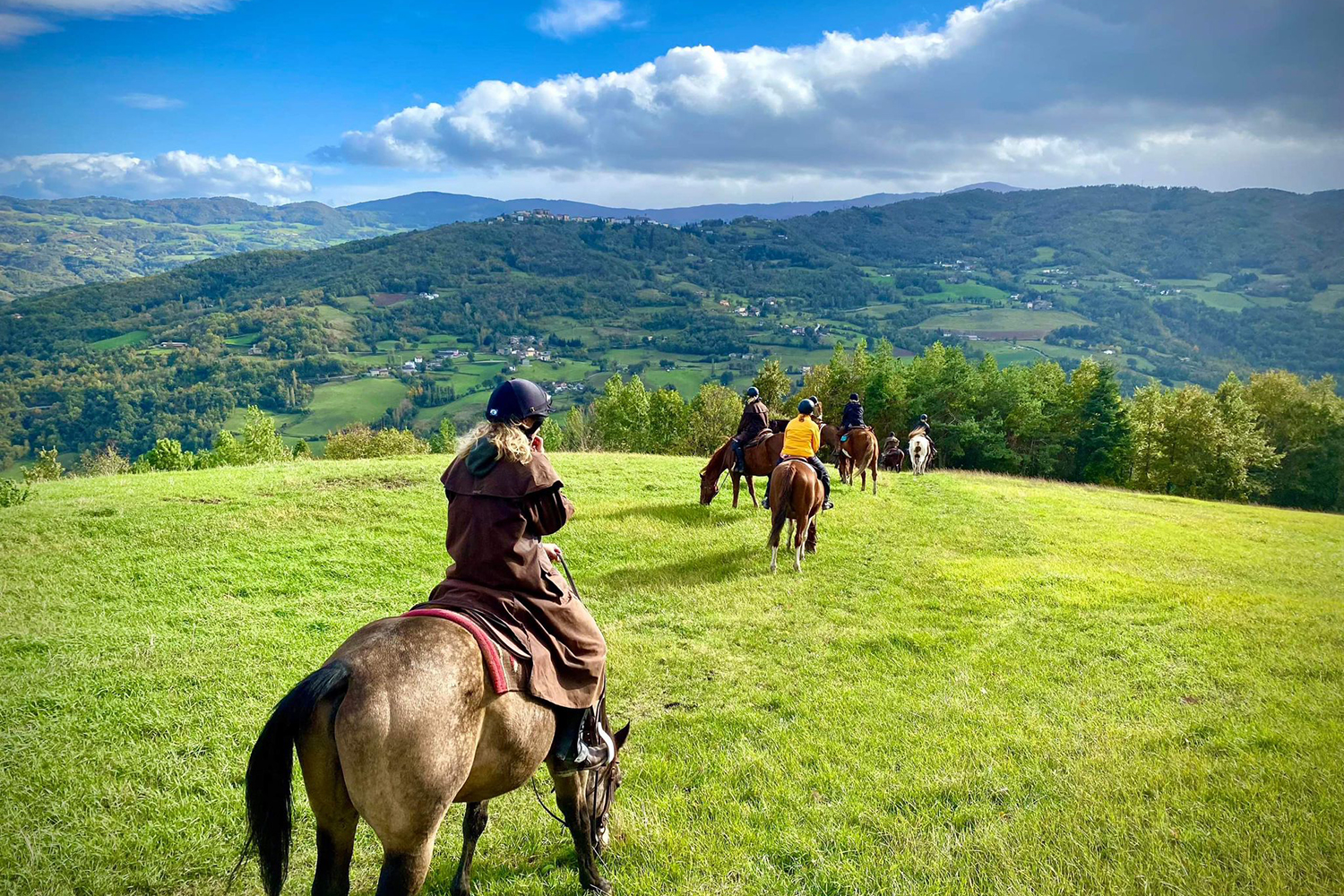 Horse farm in Northern Italy