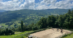 Horse farm in Northern Italy