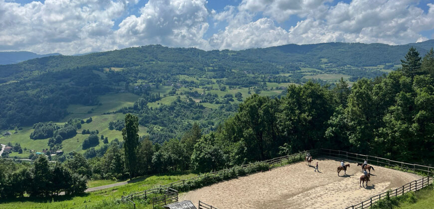 Horse farm in Northern Italy