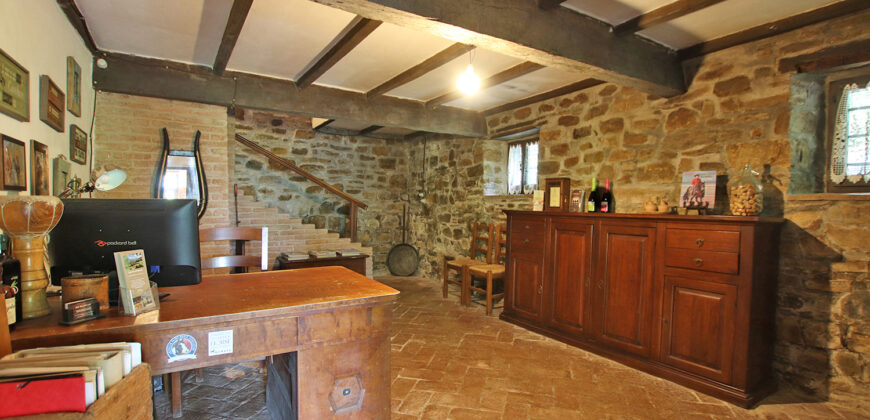 Horse farm in Northern Italy