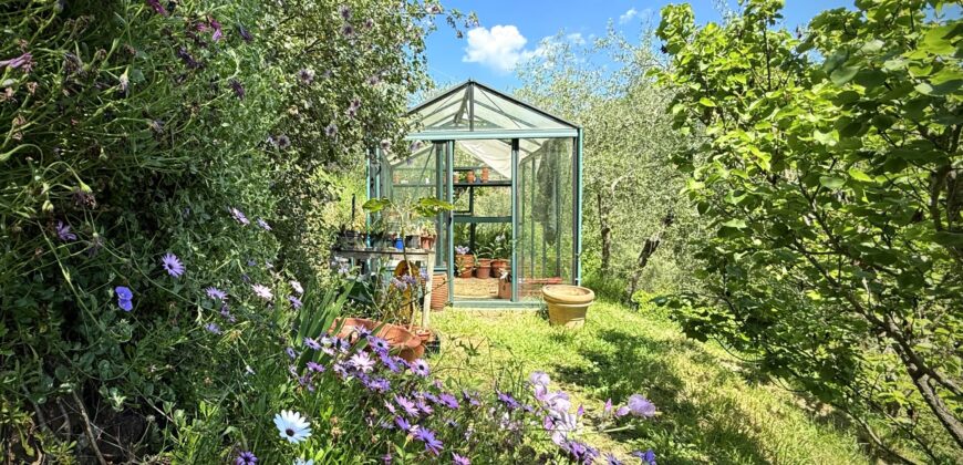 Country House close to the village
