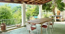 Nice house with land and pool