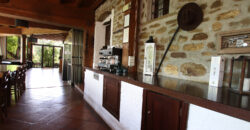 Horse farm in Northern Italy