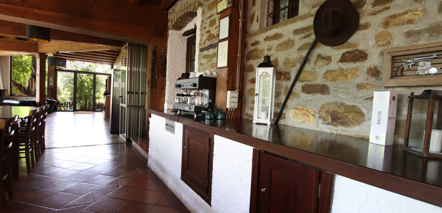Horse farm in Northern Italy