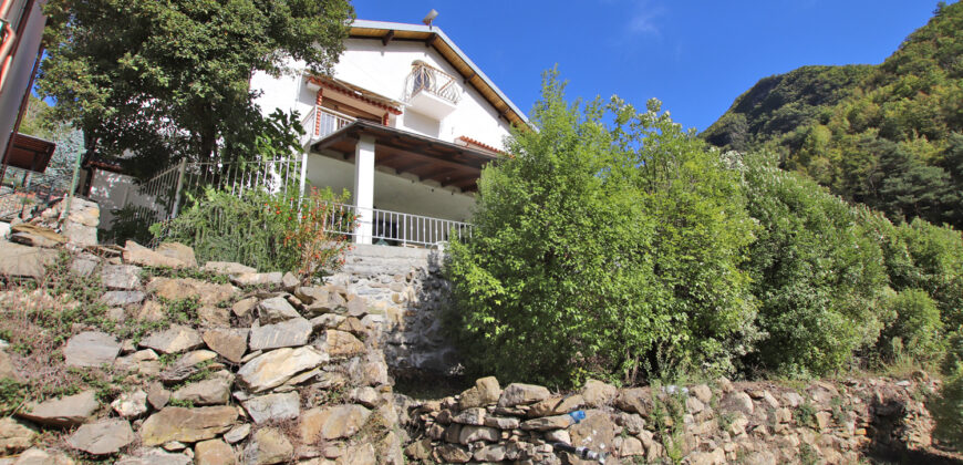 Nice house with land and pool