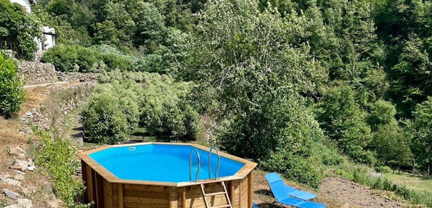 Nice house with land and pool