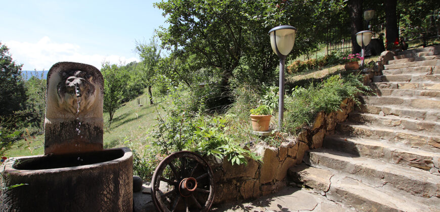 Horse farm in Northern Italy