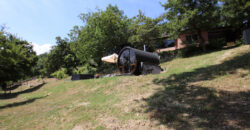 Horse farm in Northern Italy