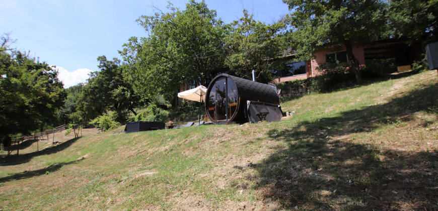 Horse farm in Northern Italy
