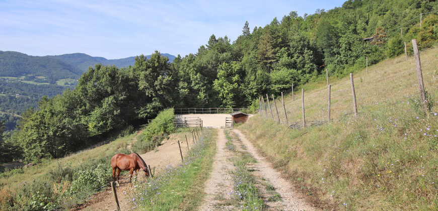 Horse farm in Northern Italy