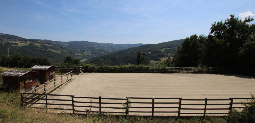 Horse farm in Northern Italy