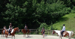 Horse farm in Northern Italy