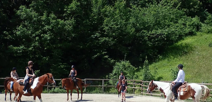 Horse farm in Northern Italy