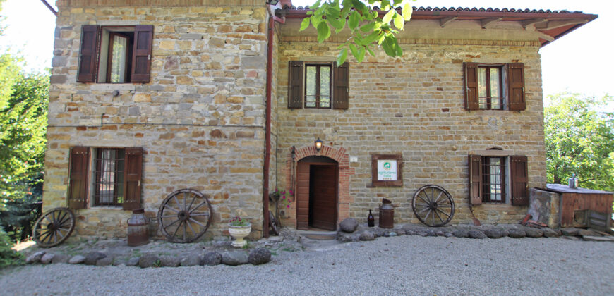 Horse farm in Northern Italy