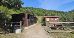 Horse farm in Northern Italy
