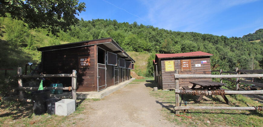 Horse farm in Northern Italy