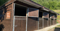 Horse farm in Northern Italy