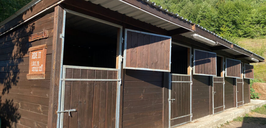 Horse farm in Northern Italy