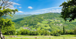 Horse farm in Northern Italy