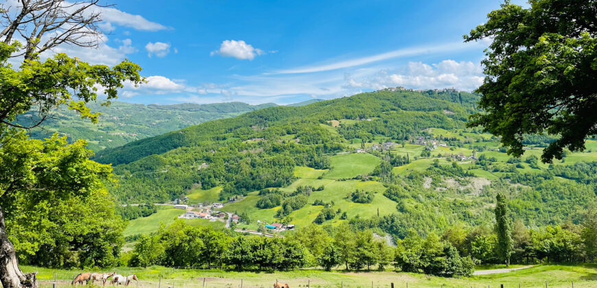 Horse farm in Northern Italy