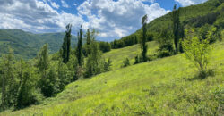 Horse farm in Northern Italy