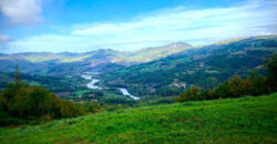 Horse farm in Northern Italy