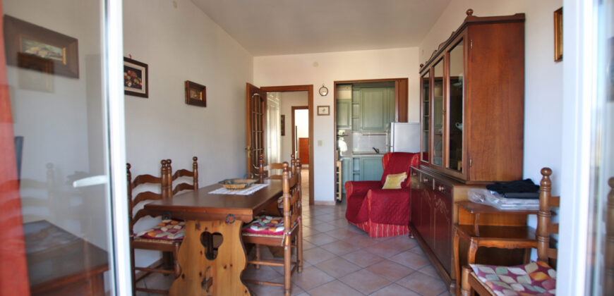 Nice apartment near the center