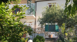 Masseria con 7,5 ha di uliveti