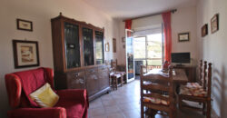 Nice apartment near the center