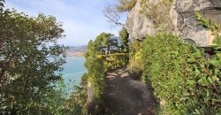 Villa Voronoff