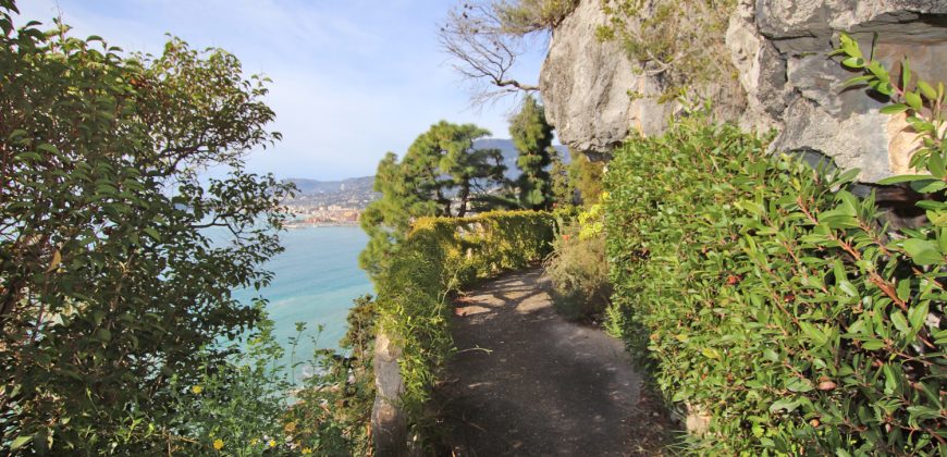 Villa Voronoff