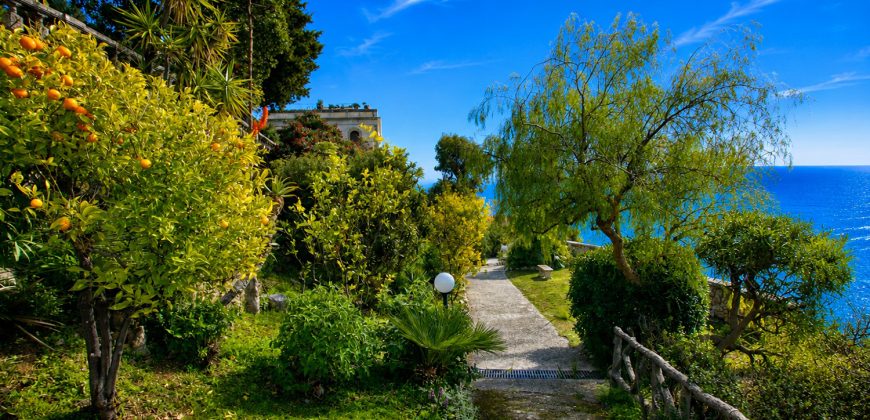 Villa Voronoff