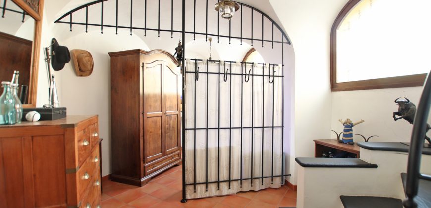 A historic townhouse with terrace